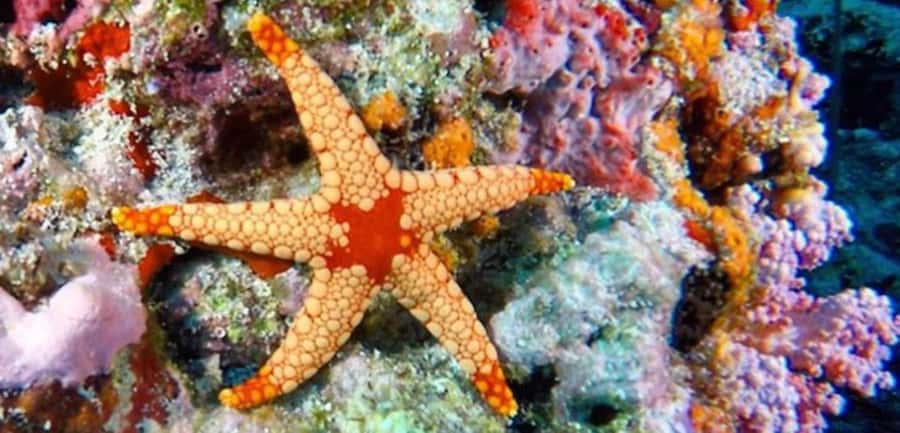 Zanzibar, Salaam Cave Tour, The Rock, Kuza Cave, Paje Beach - Guides, timing, and the private format